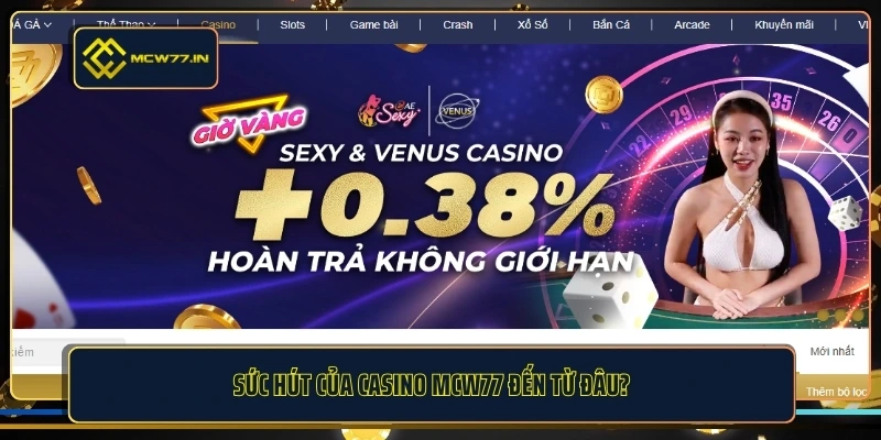 Sức hút của casino MCW77 đến từ đâu?