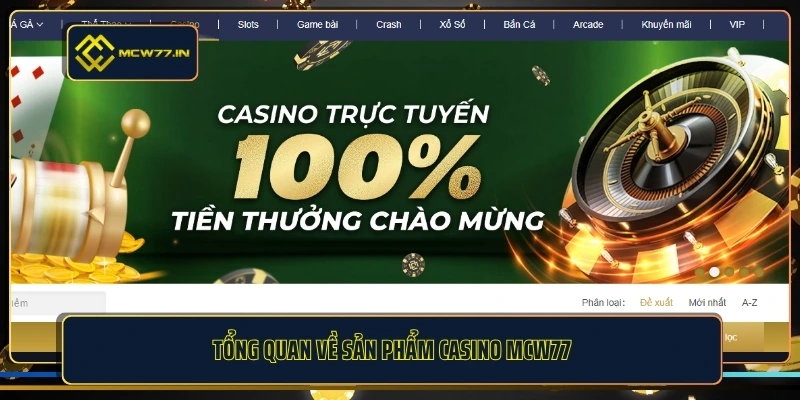 Tổng quan về sản phẩm casino MCW77